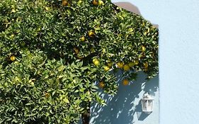 Proa D'Alfama Guest House